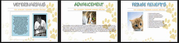 advance web design