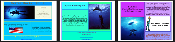 advance web design
